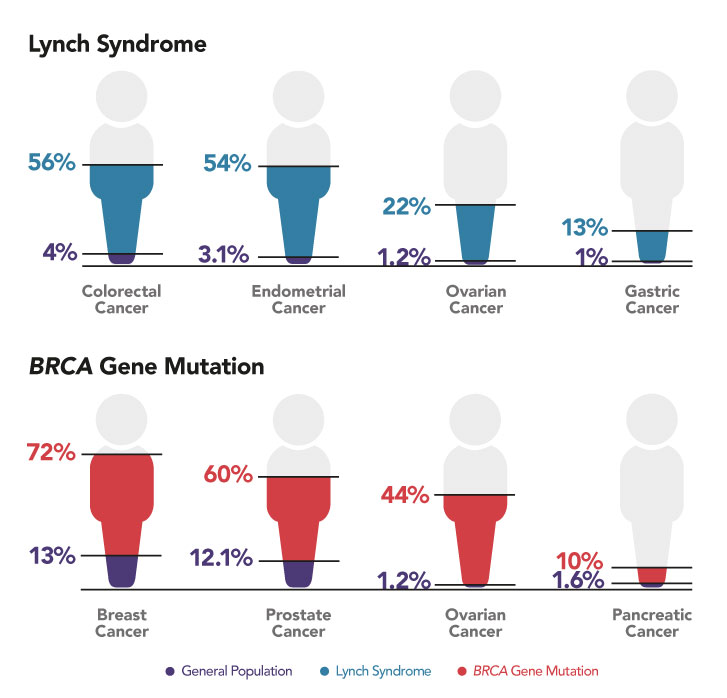 Bar graphs representing percentages of average lifetime risk of being diagnosed with different cancer types depending on condition.