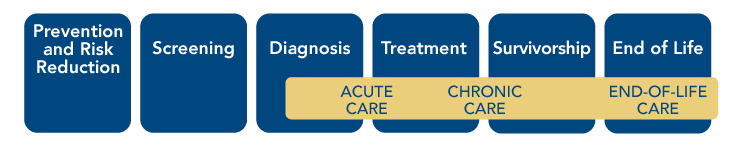 This figure shows the stages of the cancer control continuum: prevention and risk reduction, screening, diagnosis, treatment, survivorship, and end of life. The phases of cancer care—acute care, chronic care, and end-of-life care—are overlaid on the continuum, from diagnosis through end of life.