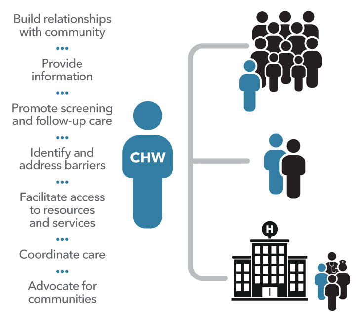 Graphic includes an icon of a person labeled CHW [community health worker] with a list of roles: build relationships with the community, provide information, promote screening and follow-up care, identify and access barriers, facilitate access to resources and services, and advocate for communities. The CHW icon is linked to icons depicting the following three interactions: CHW with community members, CHW with an individual, and CHW with other healthcare team members.