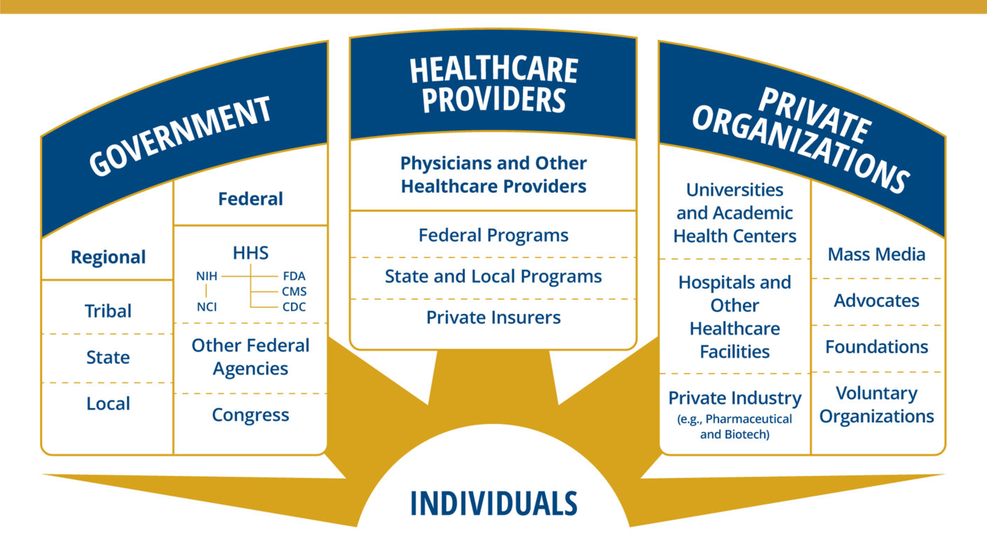 Representation of the National Cancer Program