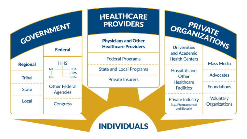Government, Healthcare Providers, Individuals